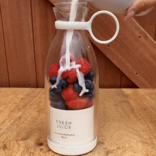 Portable Juicer